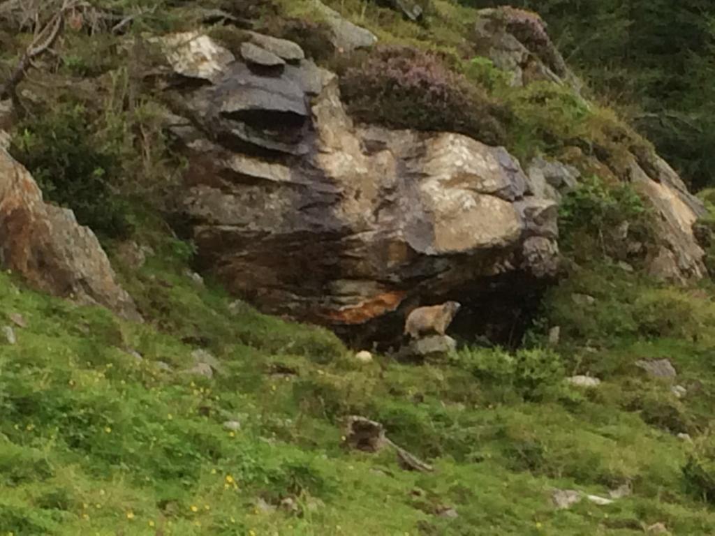Berghaus Aussergschloess Matrei in Osttirol Luaran gambar